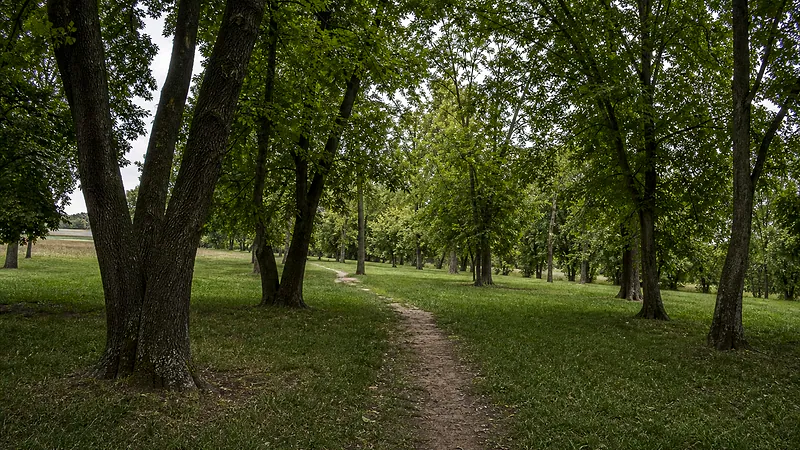 Парк в селе Редиул Маре, Дондушень