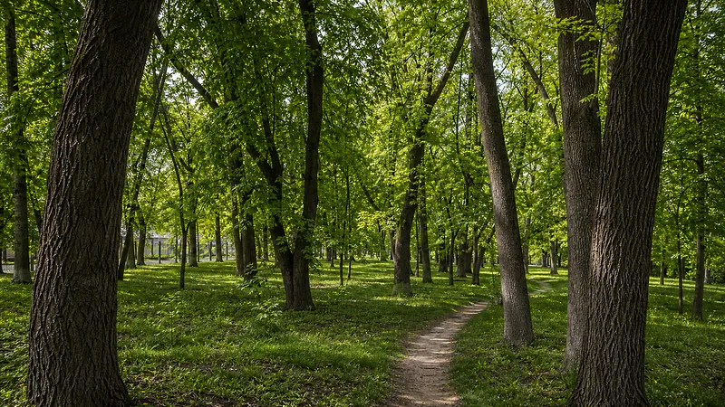 Парк в селе Темелеуць, Флорешть