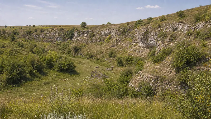 Ущелье у села Вэратик, Рышкань